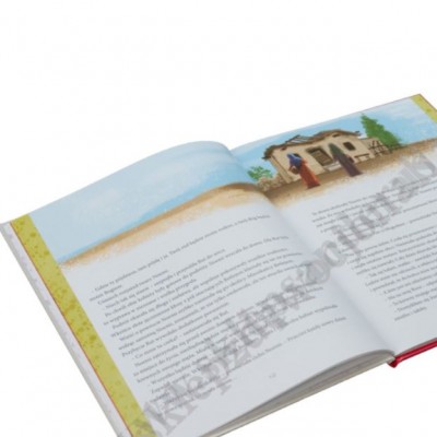 HISTORIE Z BIBLII. BOHATERKI DLA DZIEWCZĄT