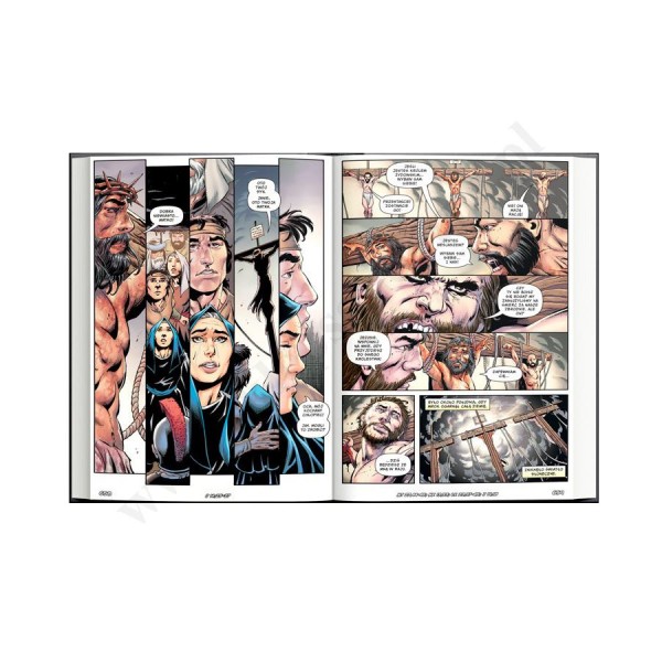 BIBLIA W KOMIKSIE
