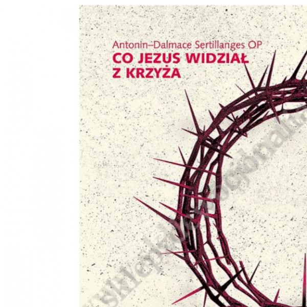 CO JEZUS WIDZIAŁ Z KRZYŻA