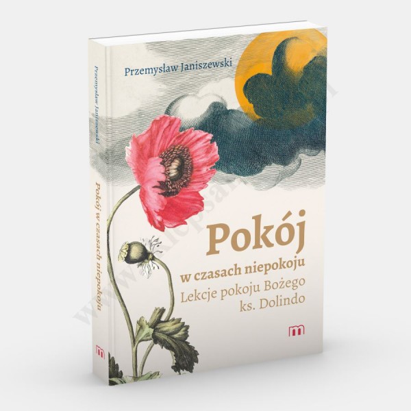 POKÓJ W CZASACH NIEPOKOJU. LEKCJE POKOJU BOŻEGO KS. DOLINDO