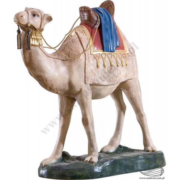 WIELBŁĄD - SZOPKA 80 cm - 305/13 - 64665