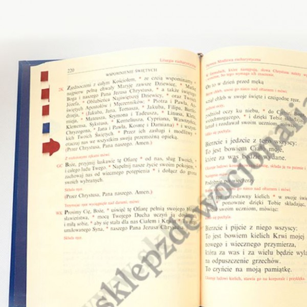 ZBIÓR MSZY O N.M.P - mszał maryjny - 1408