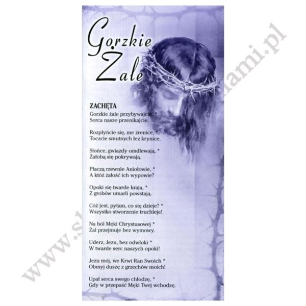 GORZKIE ŻALE - FOLDER