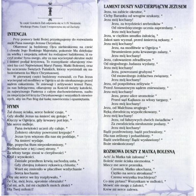 GORZKIE ŻALE - FOLDER