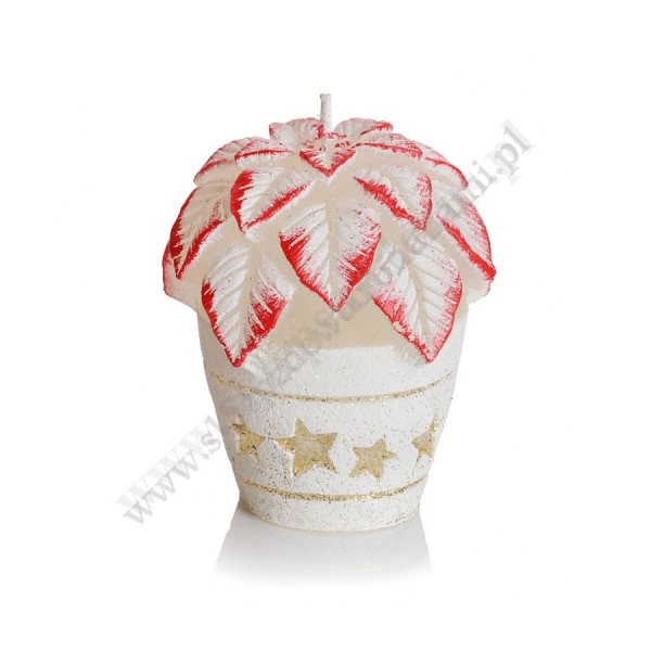 ŚWIECA ŚWIĄTECZNY KWIATEK - wys.6.8 cm - mix wzorów - 5748