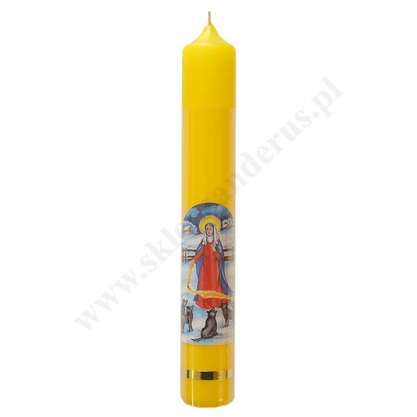 GROMNICZKA - wys. 20 cm - 89769