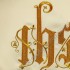 WELON DO INSYGNI - 86531