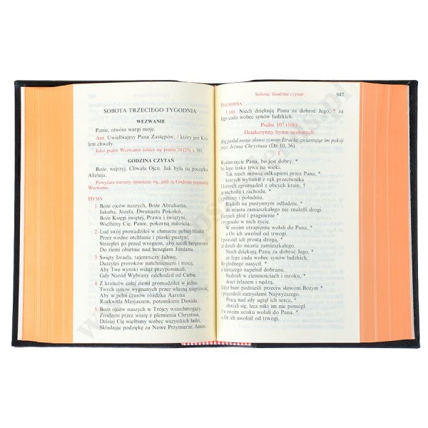 LITURGIA GODZIN - TOM DODATKOWY - WAKACYJNY - 2675