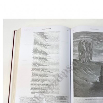 RODZINNA BIBLIA TYSIĄCLECIA