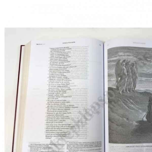 RODZINNA BIBLIA TYSIĄCLECIA
