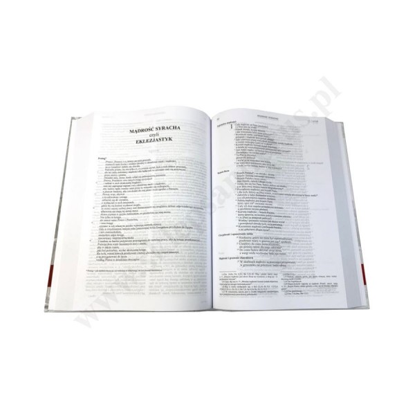 PISMO ŚWIĘTE - BIBLIA RODZINNA