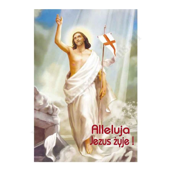 PLAKAT - ALLELUJA JEZUS ŻYCJE! - format 33,5 x 49 cm - 65622