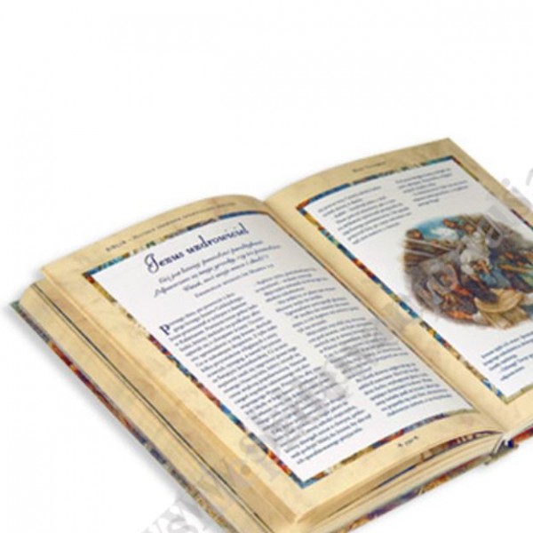 BIBLIA HISTORIA ZBAWIENIA OPOWIEDZIANA DZIECIOM