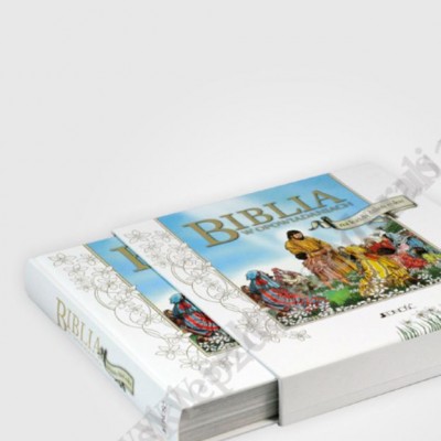 BIBLIA W OPOWIADANIACH - NA KAŻDY DZIEŃ