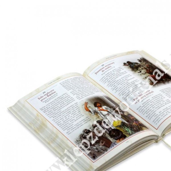 BIBLIA NA KAŻDY DZIEŃ - 365 Historii ze Starego i Nowego Testamentu