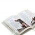 BIBLIA NA KAŻDY DZIEŃ - 365 Historii ze Starego i Nowego Testamentu