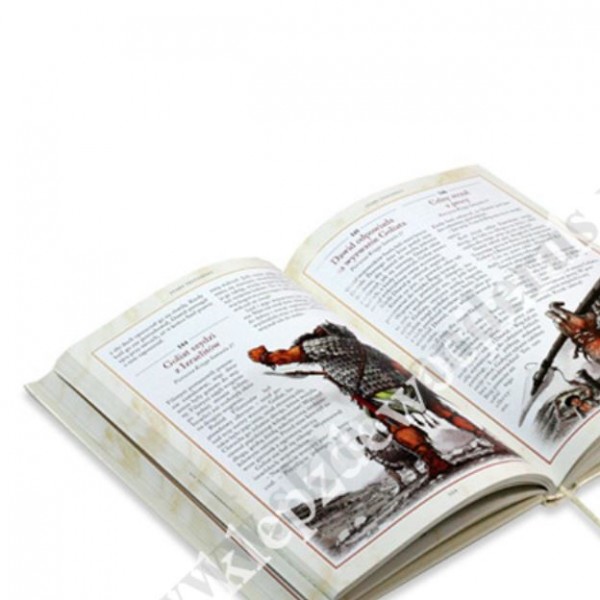 BIBLIA NA KAŻDY DZIEŃ - 365 Historii ze Starego i Nowego Testamentu