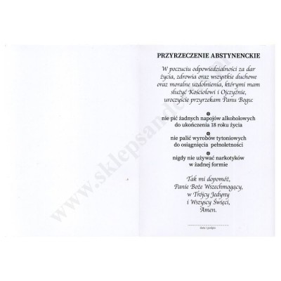 PRZYRZECZENIA ABSTYNENCKIE