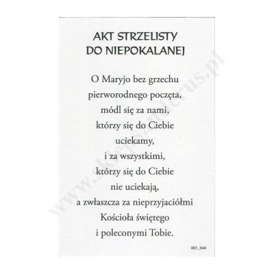 MATKA BOŻA NIEPOKALANA - obrazek 6.5 x 10 cm - paczka 100 szt. - 87219