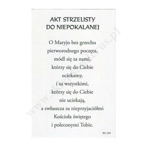 MATKA BOŻA NIEPOKALANA - obrazek 6.5 x 10 cm - paczka 100 szt. - 87219