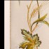ORNAT 67832