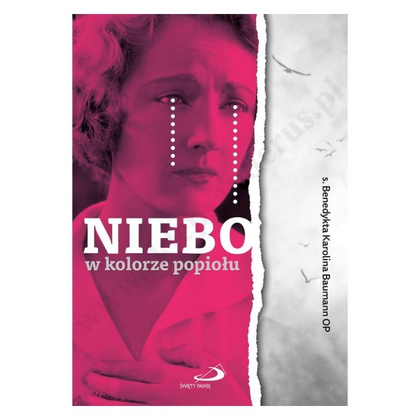 NIEBO W KOLORZE POPIOŁU NIEBO W KOLORZE POPIOŁU