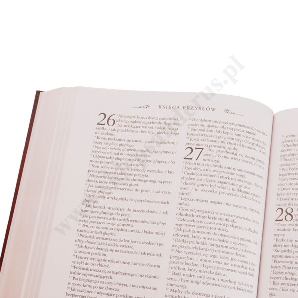 PISMO ŚWIĘTE STAREGO I NOWEGO TESTAMENTU. BIBLIA DOMOWA