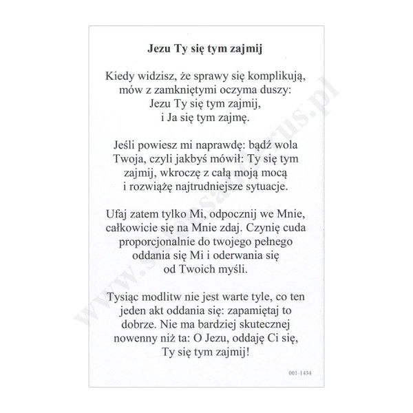 JEZU, TY SIĘ TYM ZAJMIJ - obrazek 6.5 x 10 cm - paczka 100 szt. - 30103