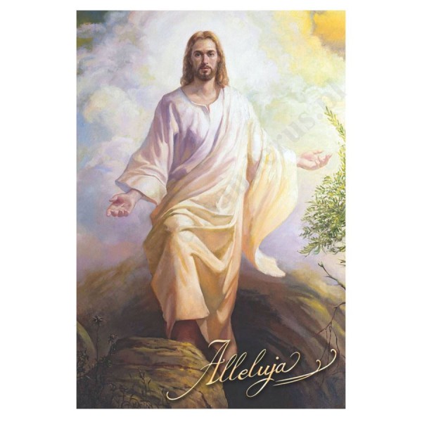 PLAKAT - ALLELUJA - format 33,5 x 49 cm - 3686