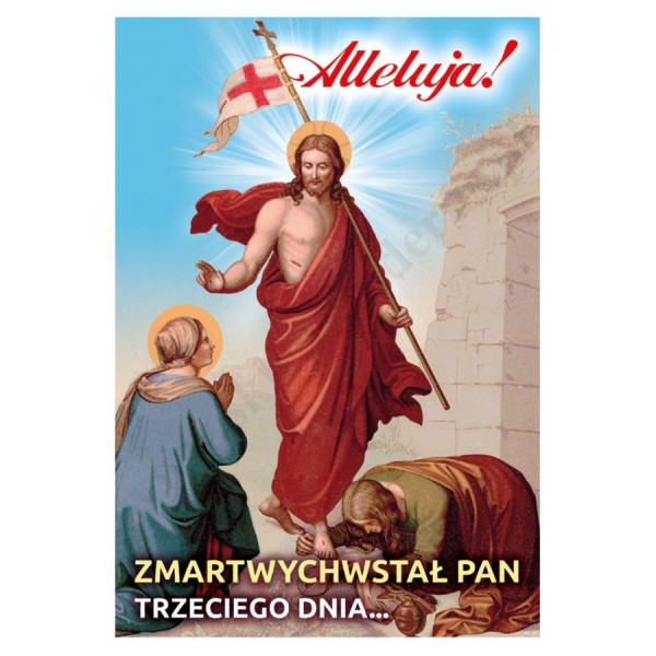 PLAKAT - ALLELUJA - format 33,5 x 49 cm - 50125