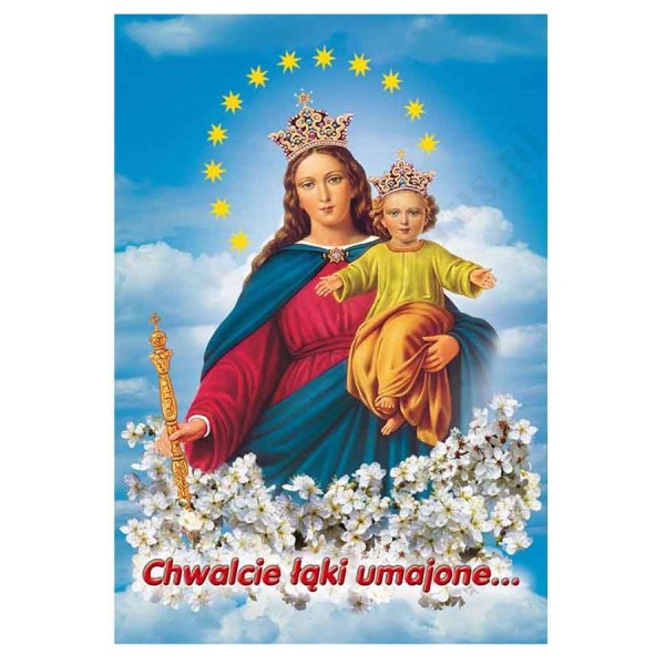 PLAKAT - CHWALCIE ŁĄKI UMAJONE - format 33,5 x 49 cm - 5309