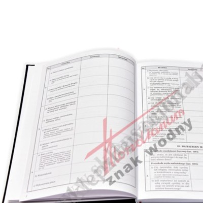 KSIĘGA PROTOKOŁÓW PRZEDMAŁŻEŃSKICH - 88248
