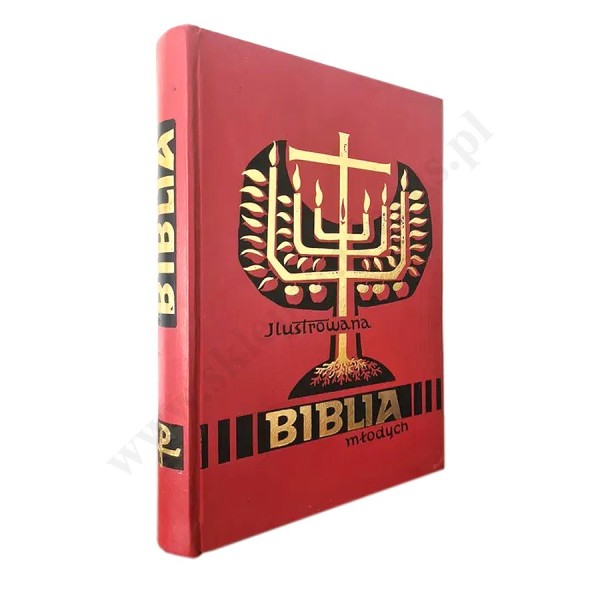 ILUSTROWANA BIBLIA MŁODYCH