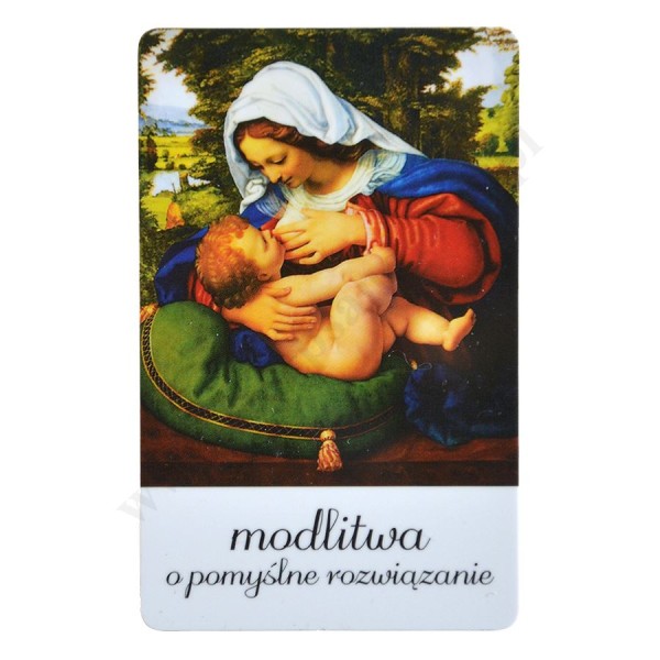 MODLITWA O POMYŚLNE ROZWIĄZANIE - biznes karta - 62451