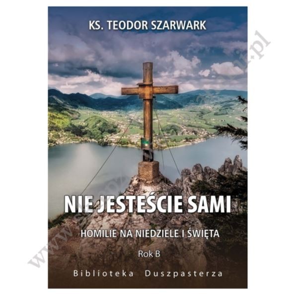 NIE JESTEŚCIE SAMI - homilie na niedziele i święta - rok B