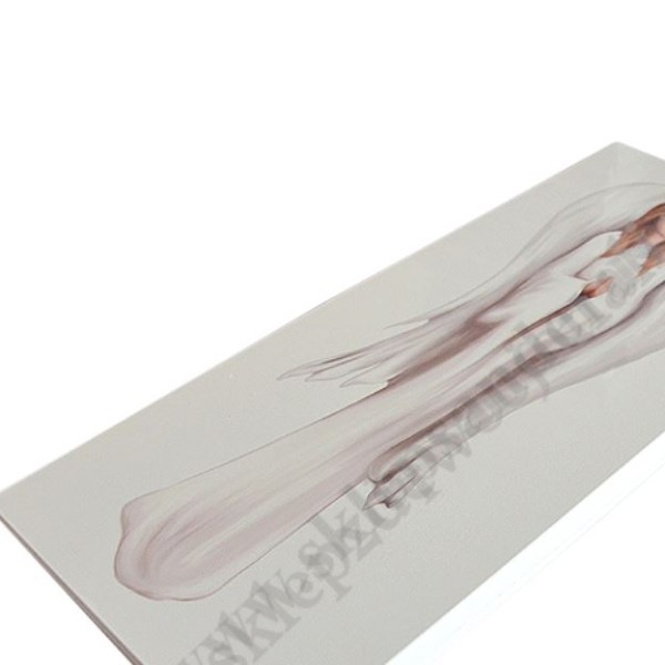 ANIOŁ - obraz 18 x 42 cm - 88736