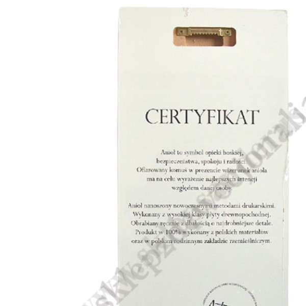 ANIOŁ - obraz 18 x 42 cm - 88736