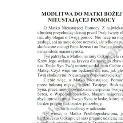 MATKA BOŻA NIEUSTAJĄCEJ POMOCY - obrazek 6.5 x 10 cm - paczka 100 szt. - 0146