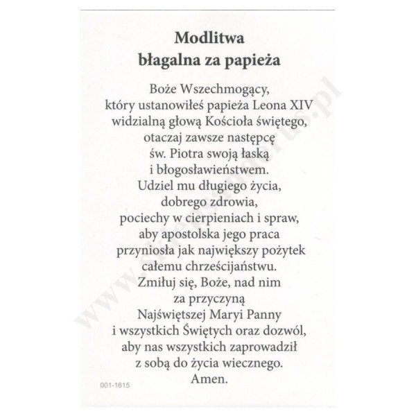 PAPIEŻ LEON XIV - obrazek 6.5 x 10 cm - paczka 100 szt. - 0853